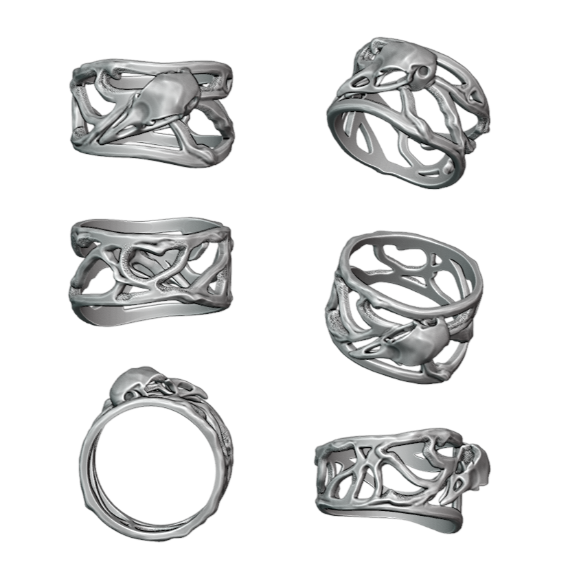 Bird Trap 925 Silver Ring